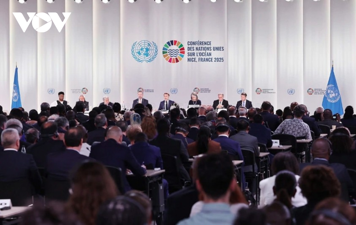 Vietnam joins special treaty event on biodiversity beyond national jurisdiction